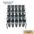 EXPOSITOS DE FLORES