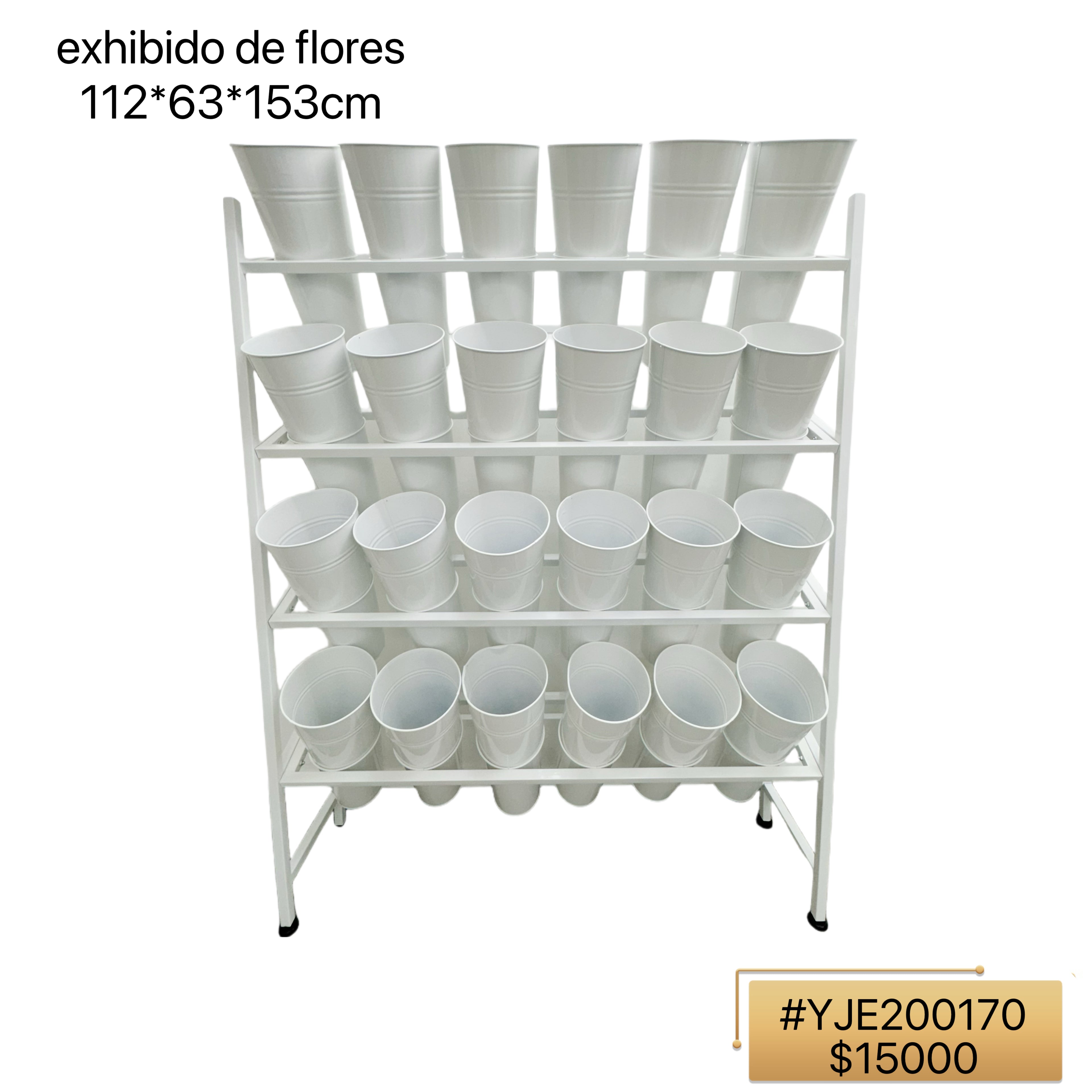 EXPOSITOS DE FLORES