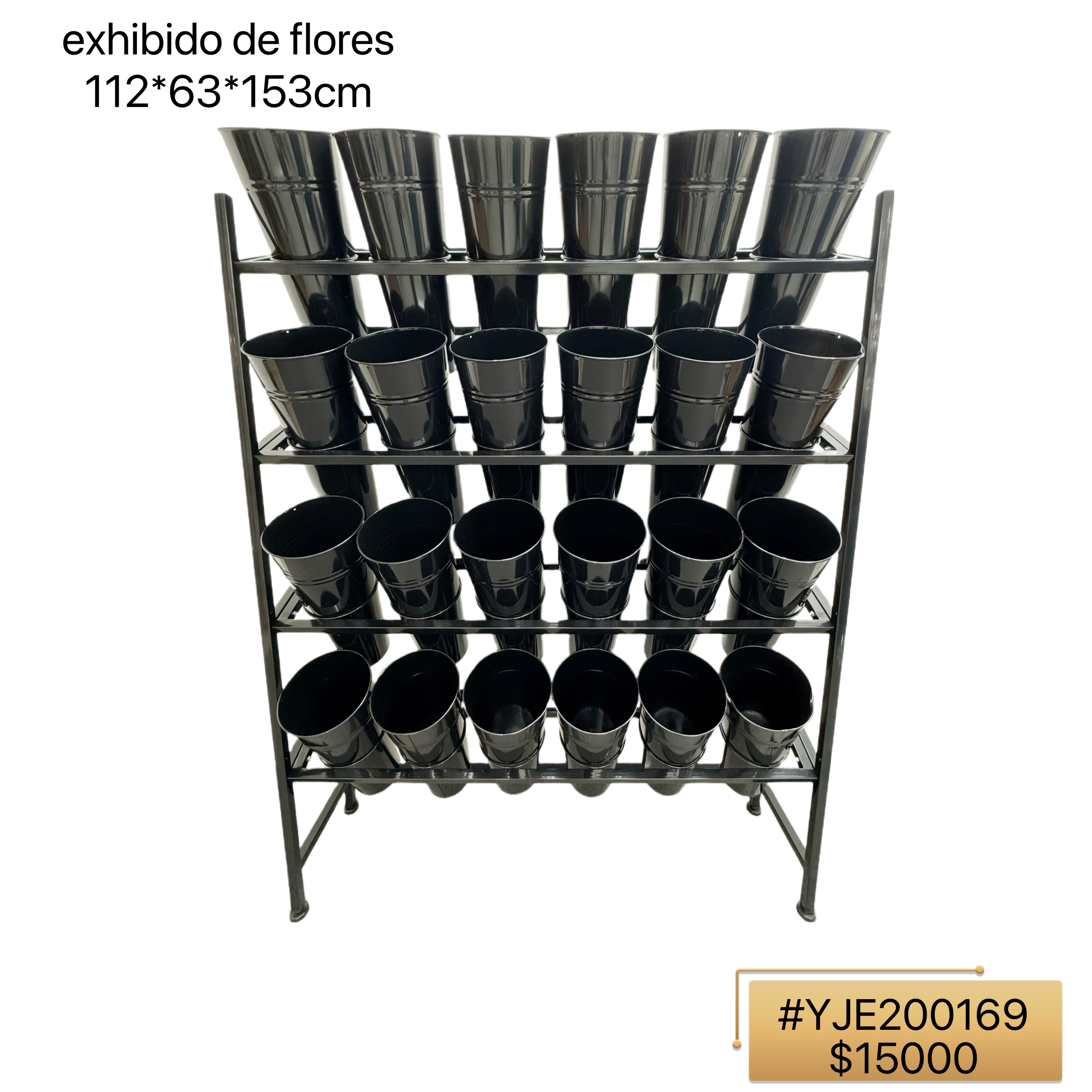 EXPOSITOS DE FLORES