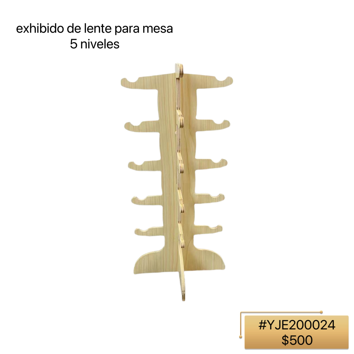 EXPOSICIÓN DE LENTE