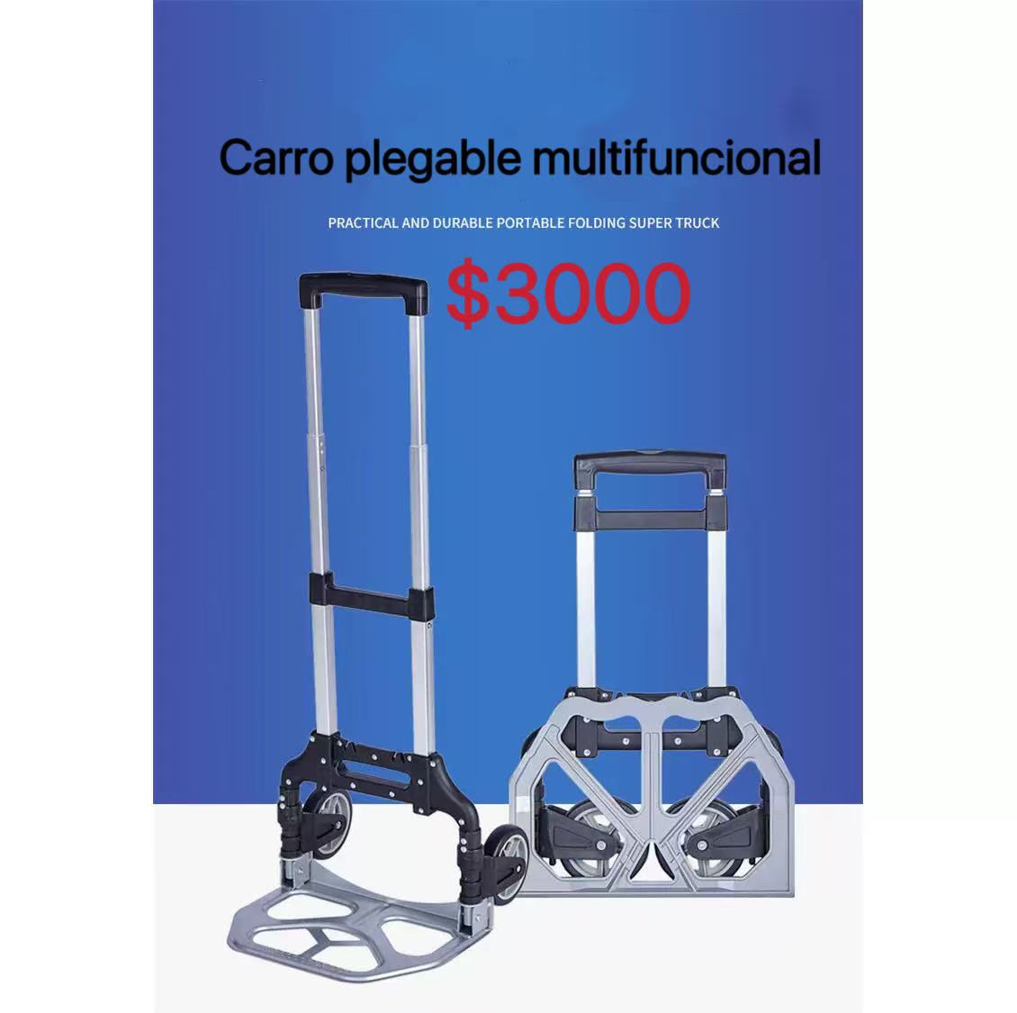 CARRO DE CARGA